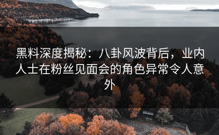 黑料深度揭秘：八卦风波背后，业内人士在粉丝见面会的角色异常令人意外