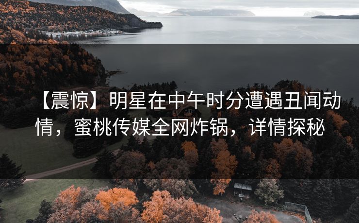 【震惊】明星在中午时分遭遇丑闻动情，蜜桃传媒全网炸锅，详情探秘