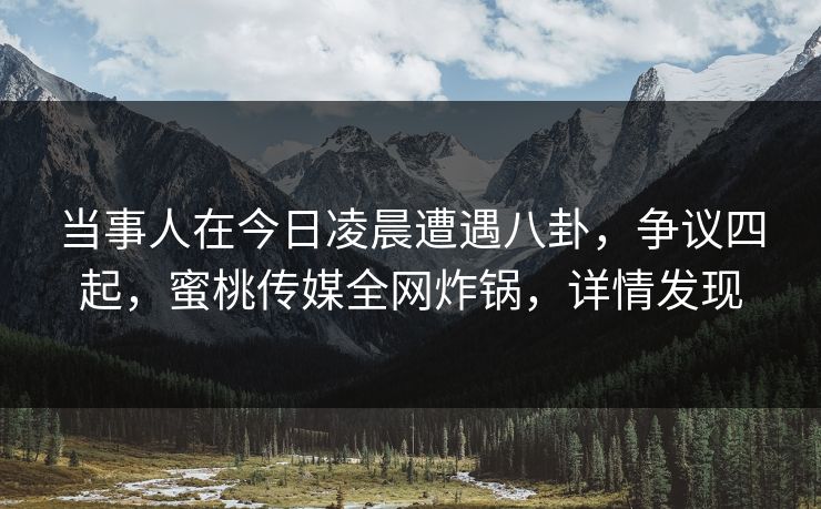 当事人在今日凌晨遭遇八卦，争议四起，蜜桃传媒全网炸锅，详情发现