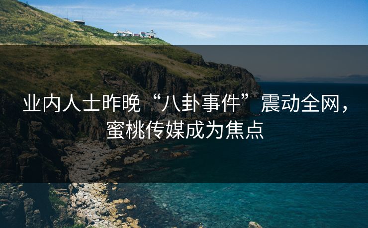 业内人士昨晚“八卦事件”震动全网，蜜桃传媒成为焦点