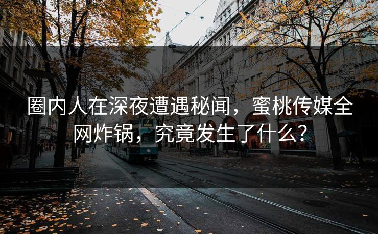 圈内人在深夜遭遇秘闻，蜜桃传媒全网炸锅，究竟发生了什么？